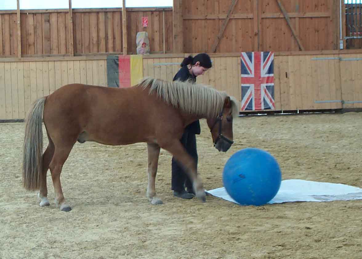 Kurs Zirkuslektionen in Lnen